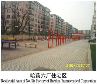 88哈药六厂住宅区