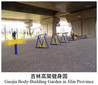 91吉林高架健身园
