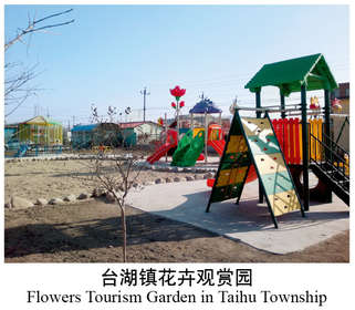 95台湖镇花卉观赏园